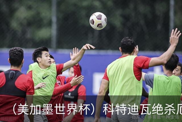 （美加墨世界杯）科特迪瓦绝杀厄瓜多尔 瑞典5:1大胜突尼斯